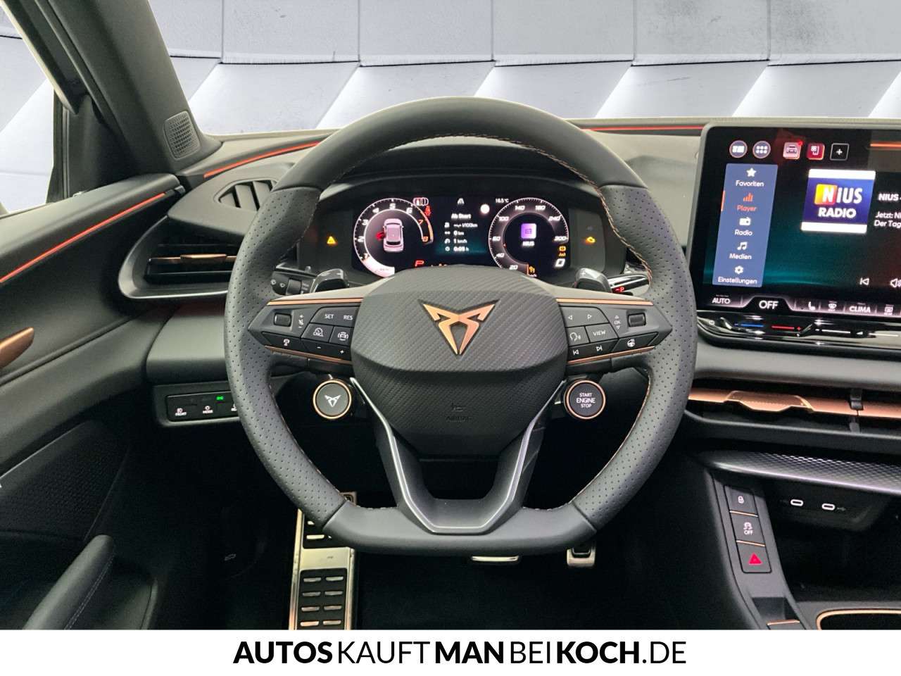 Fahrzeugbild eines CUPRA Terramar