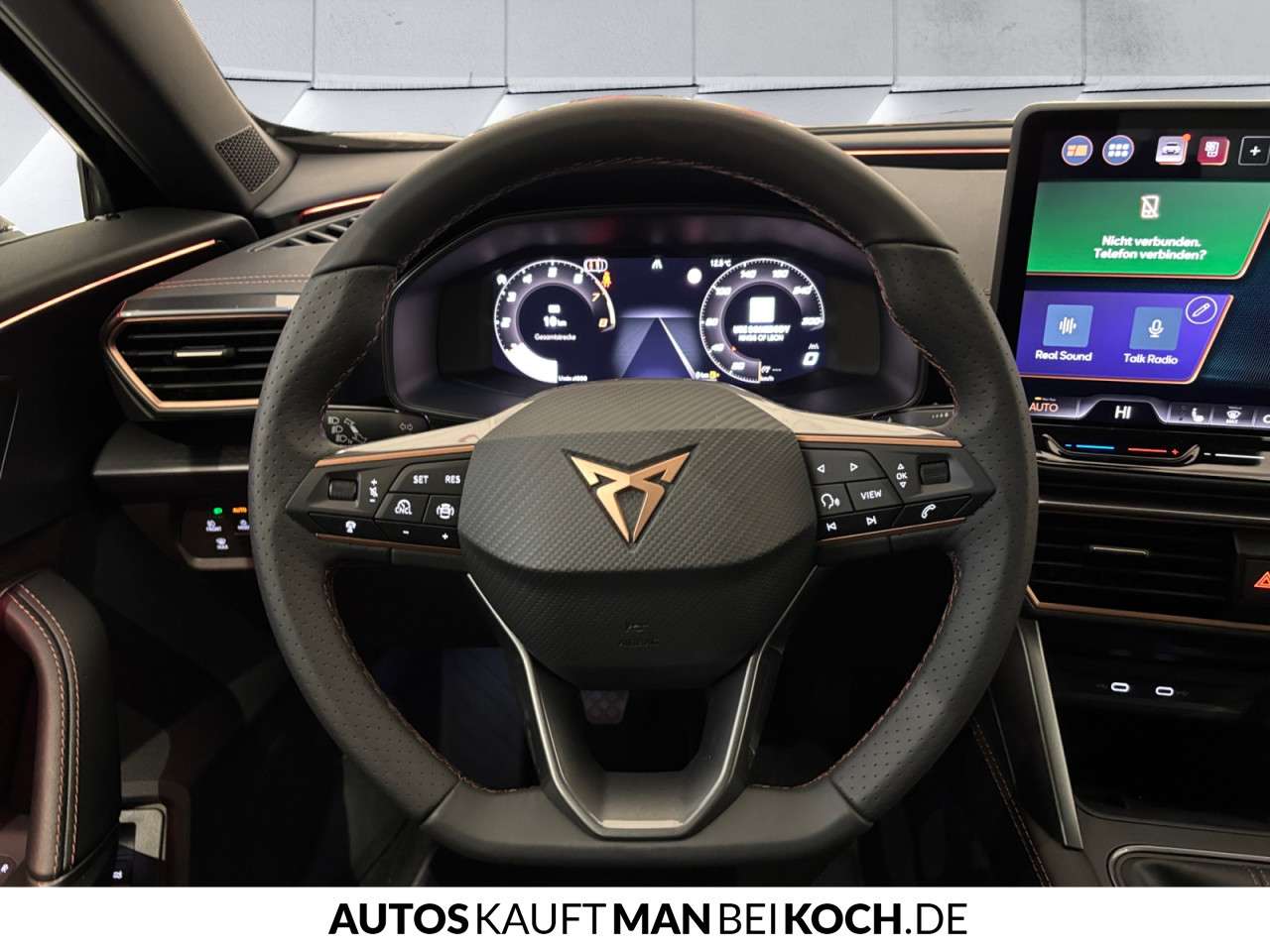Fahrzeugbild eines CUPRA Formentor