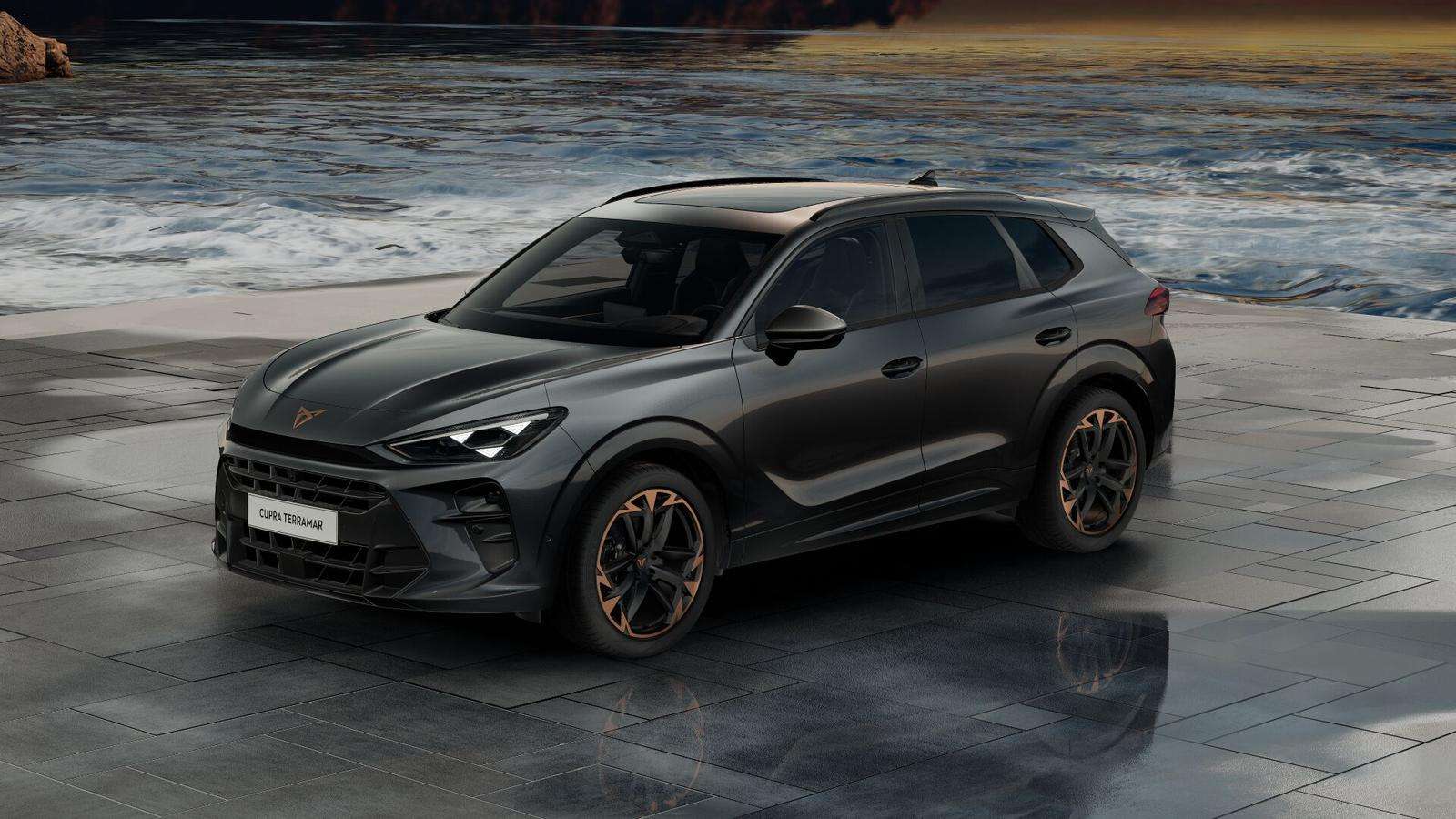 Fahrzeugbild eines CUPRA Terramar
