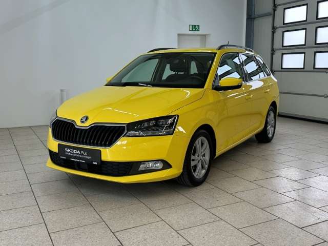 Fahrzeugbild eines Skoda Fabia