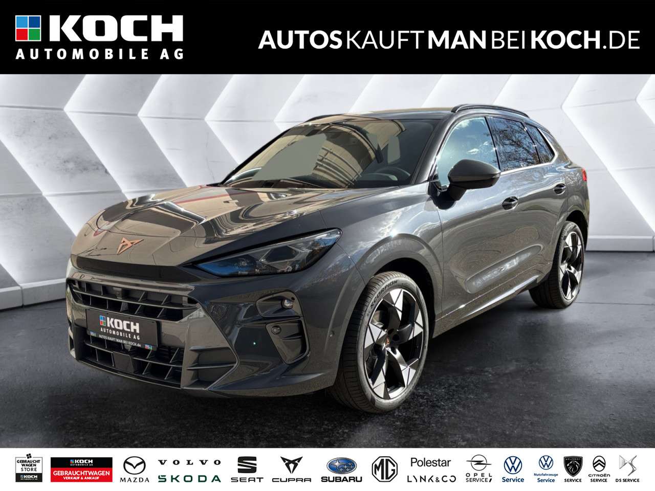 Fahrzeugbild eines CUPRA Terramar