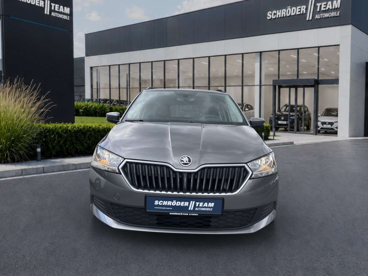 Fahrzeugbild eines Skoda Fabia