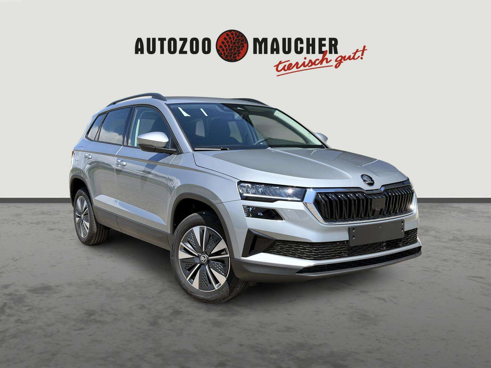 Fahrzeugbild eines Skoda Karoq