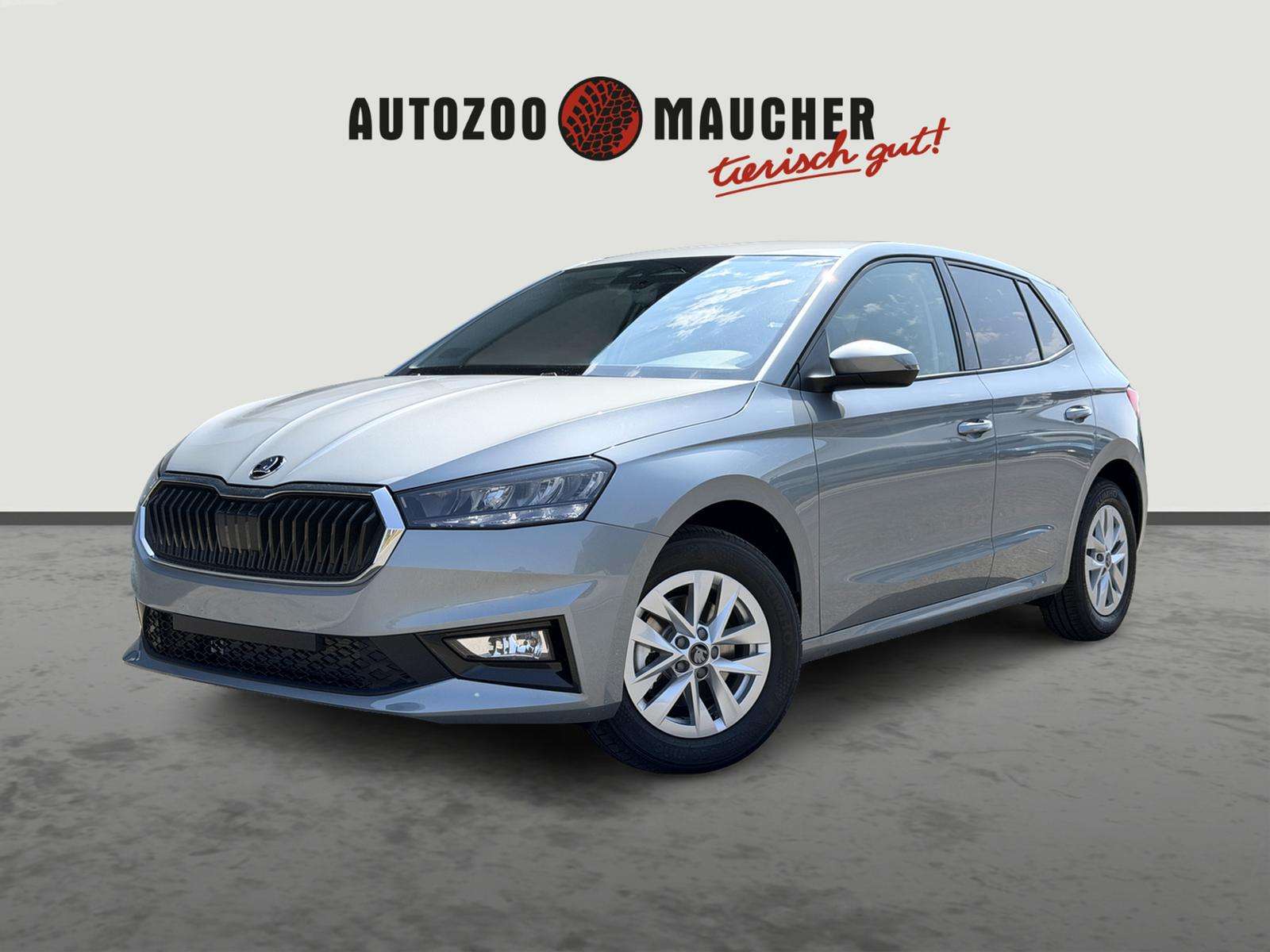 Fahrzeugbild eines Skoda Fabia