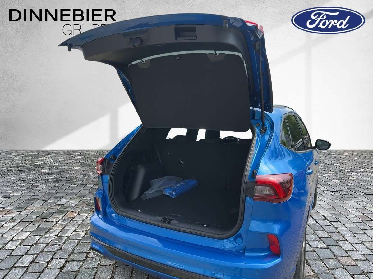 Fahrzeugbild eines Ford Kuga