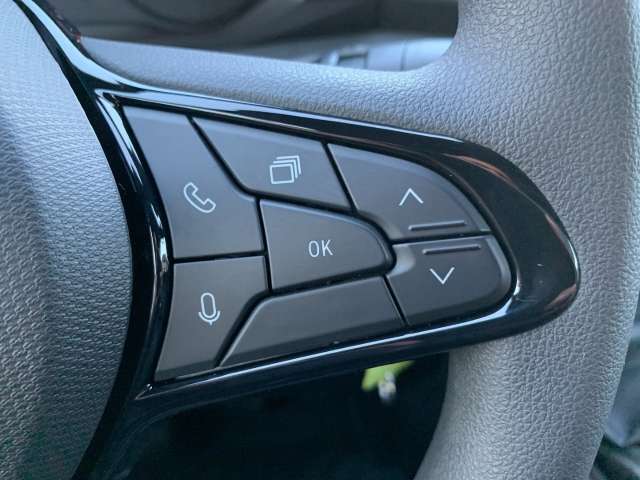 Fahrzeugbild eines Renault Master