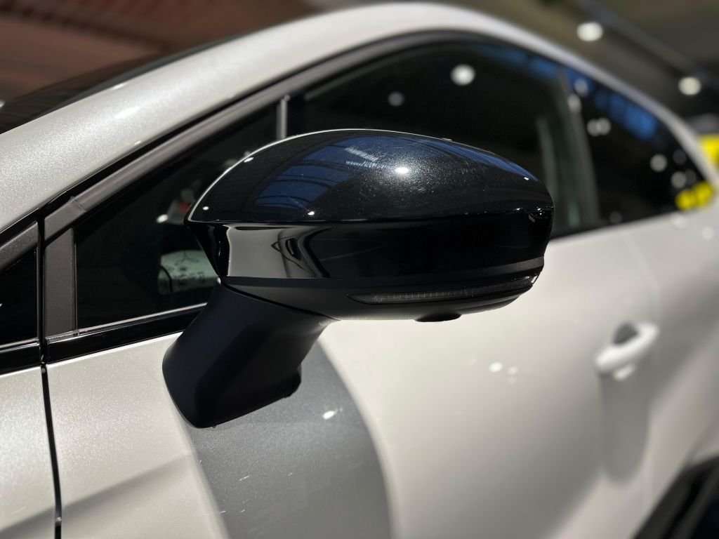 Fahrzeugbild eines Renault Symbioz