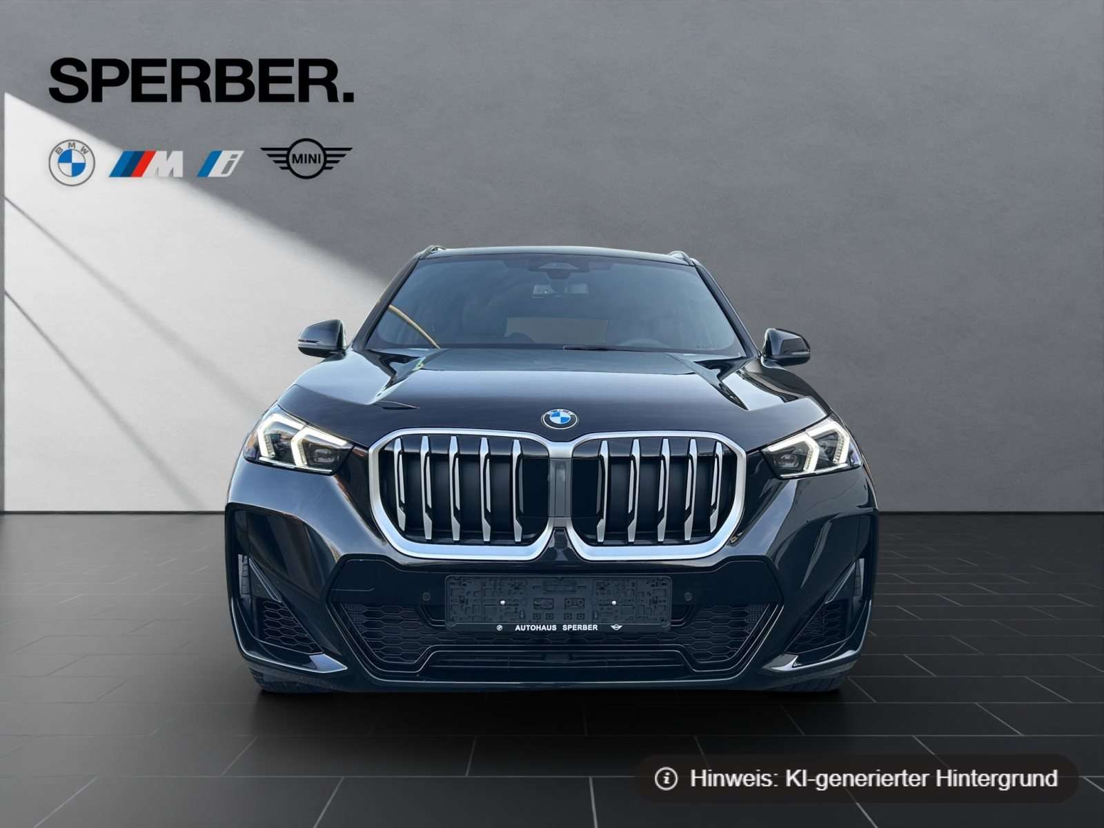 Fahrzeugbild eines BMW X1