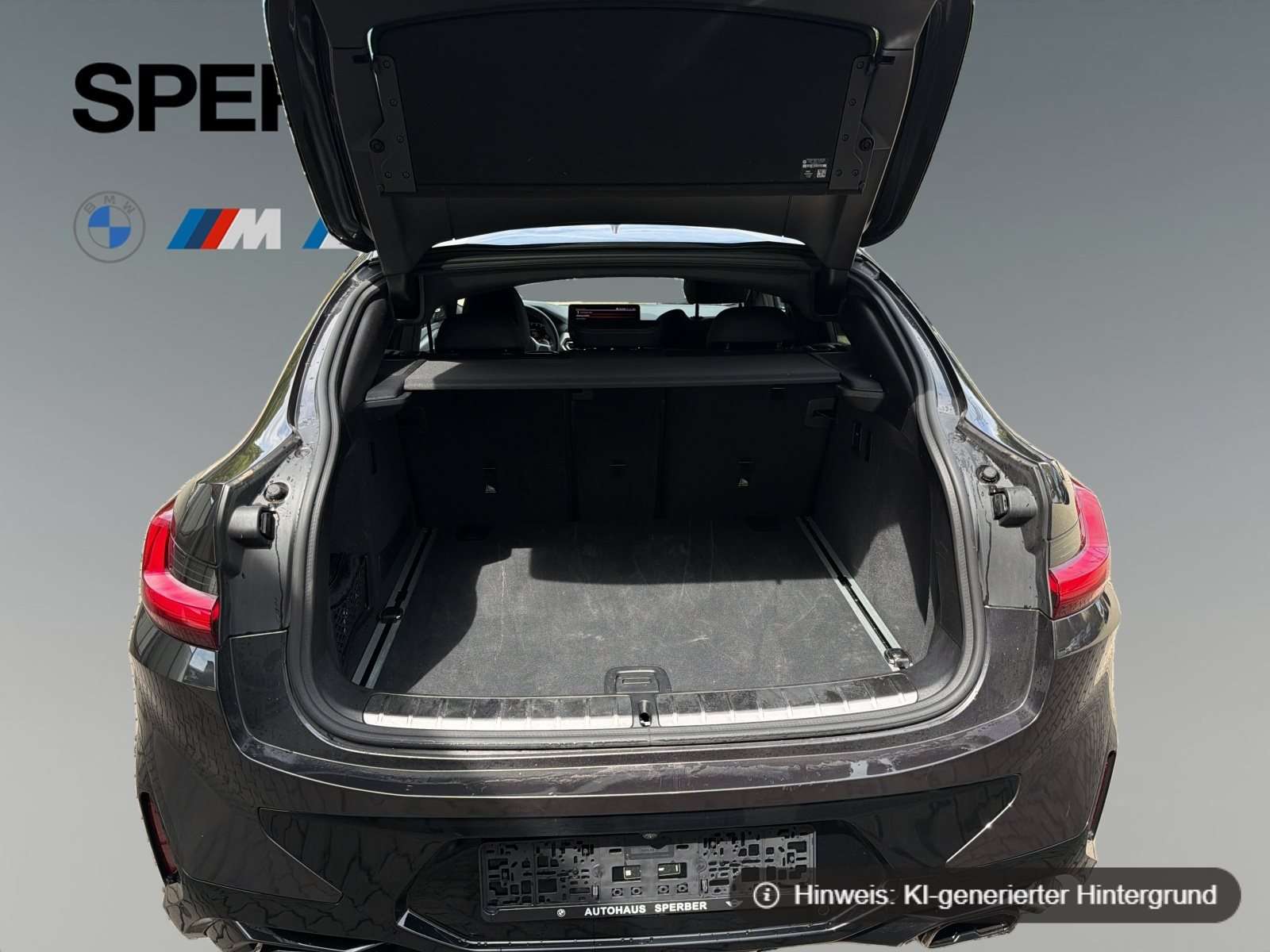 Fahrzeugbild eines BMW X4