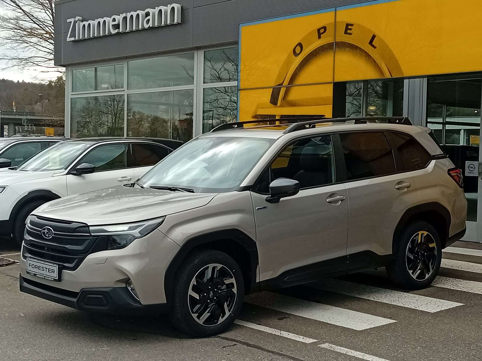 Fahrzeugbild eines Subaru Forester