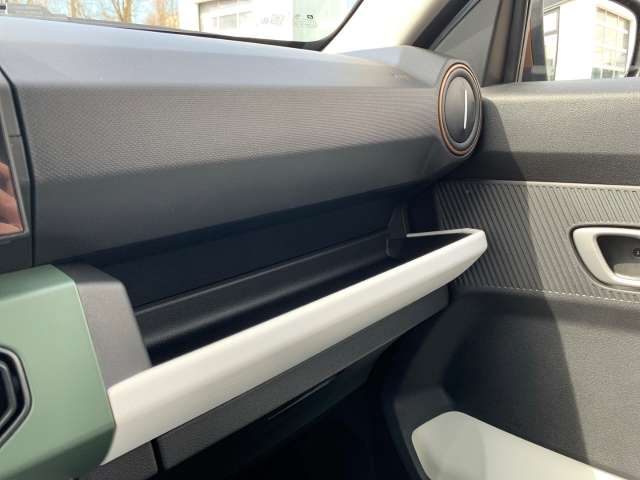 Fahrzeugbild eines Dacia Spring