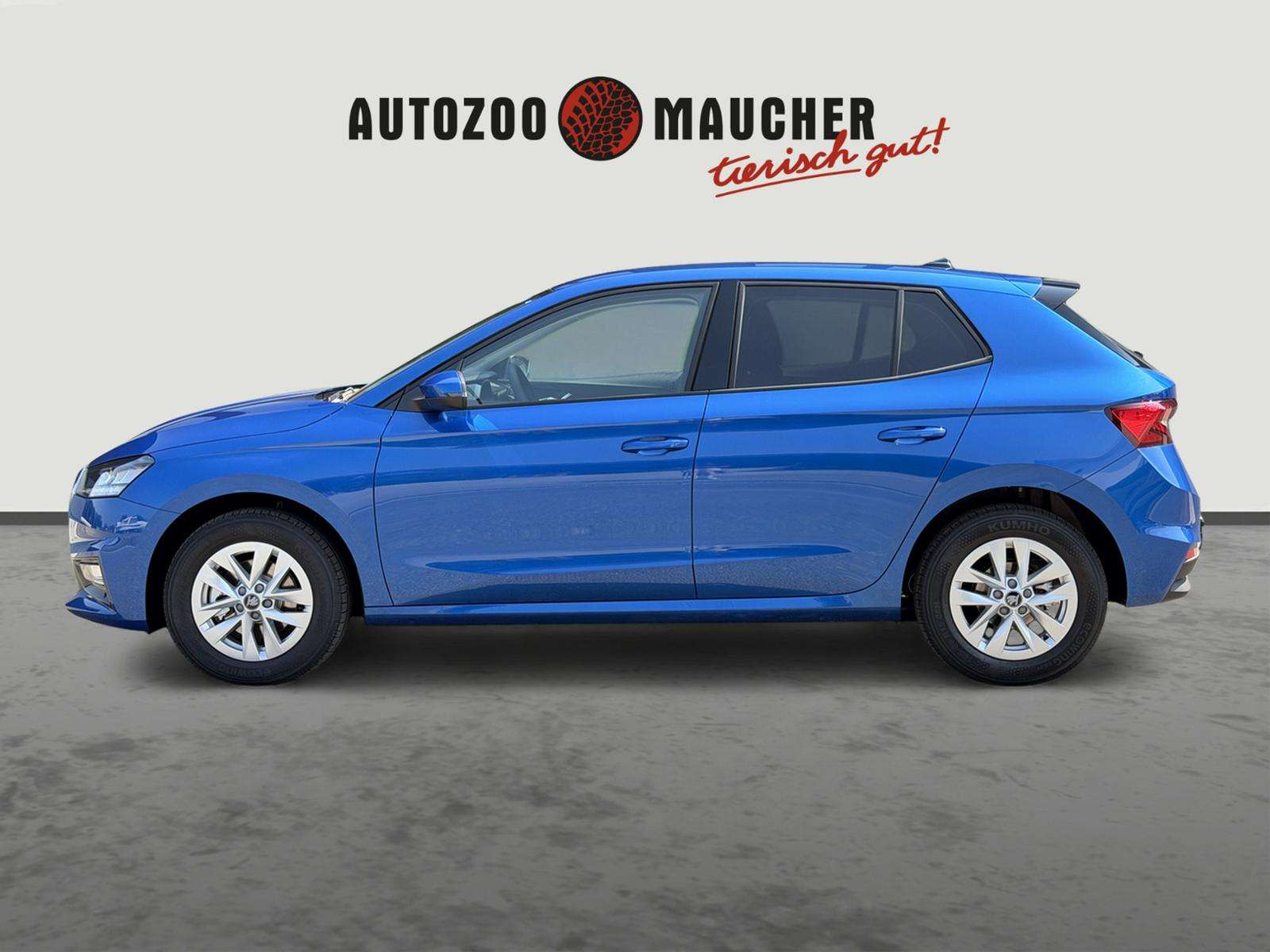 Fahrzeugbild eines Skoda Fabia