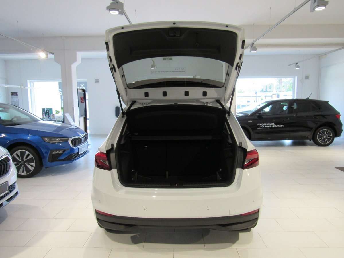 Fahrzeugbild eines Skoda Fabia