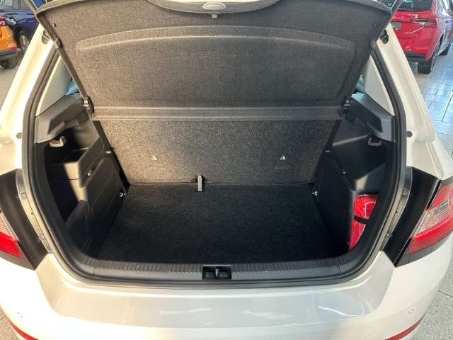 Fahrzeugbild eines Skoda Fabia