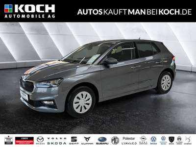 Bild Skoda Fabia