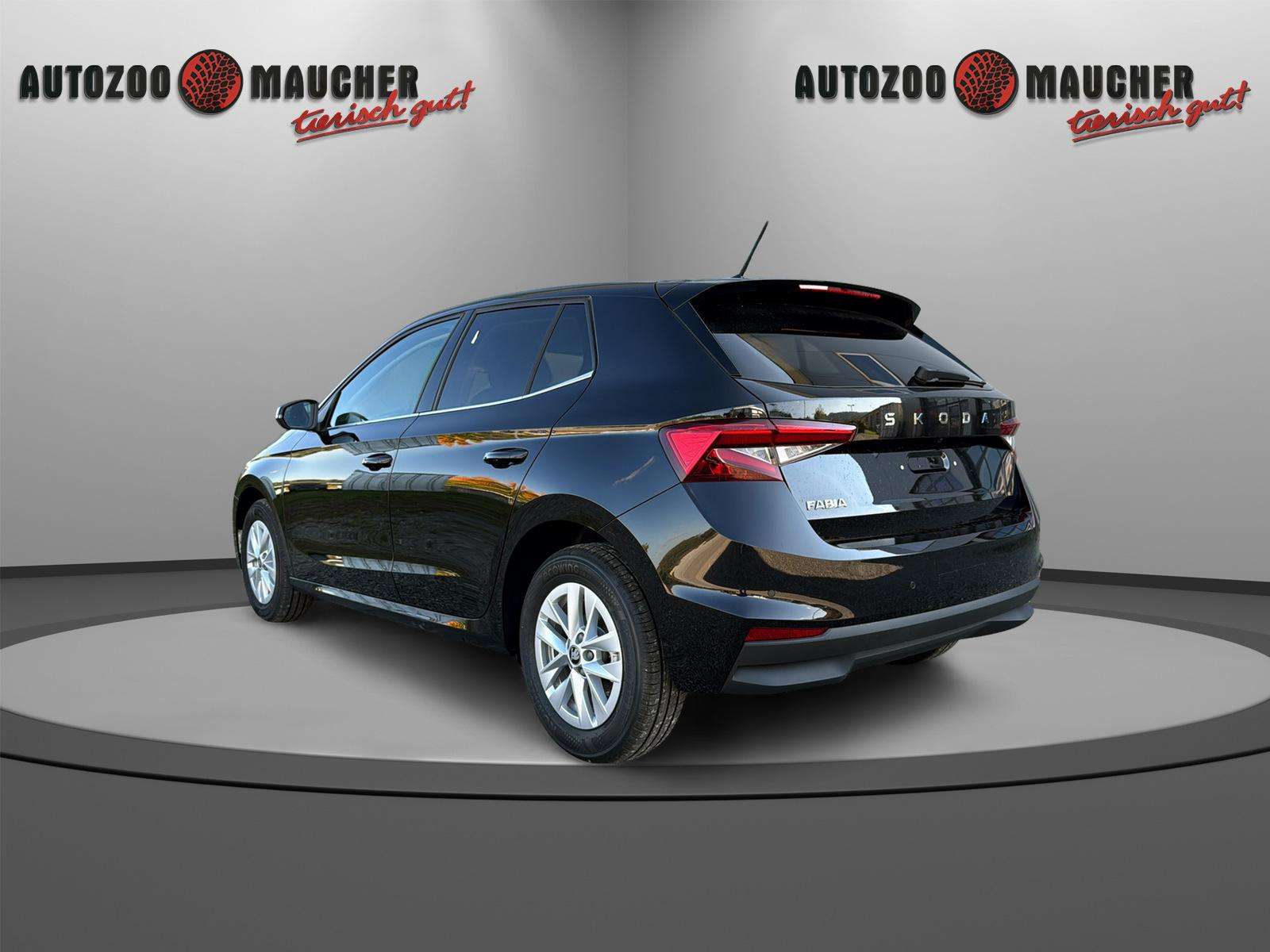 Fahrzeugbild eines Skoda Fabia