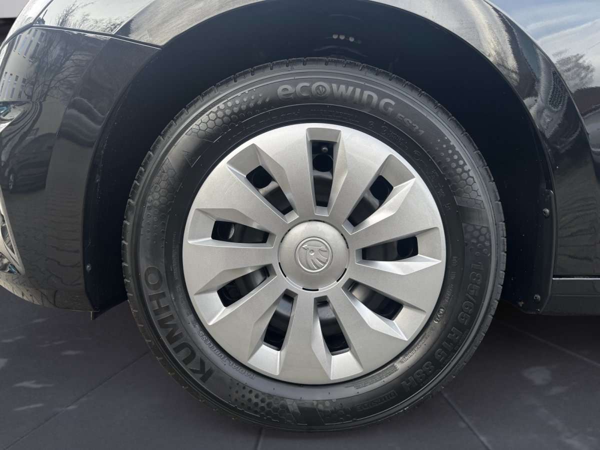 Fahrzeugbild eines Skoda Fabia