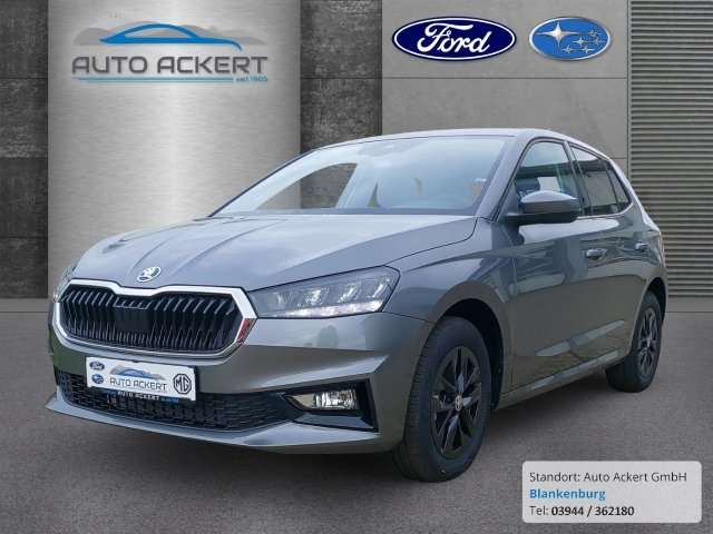 Fahrzeugbild eines Skoda Fabia