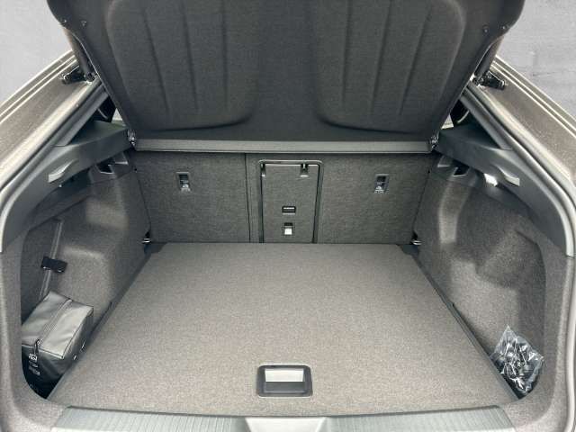 Fahrzeugbild eines CUPRA Tavascan