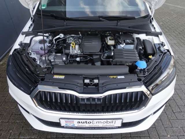 Fahrzeugbild eines Skoda Fabia