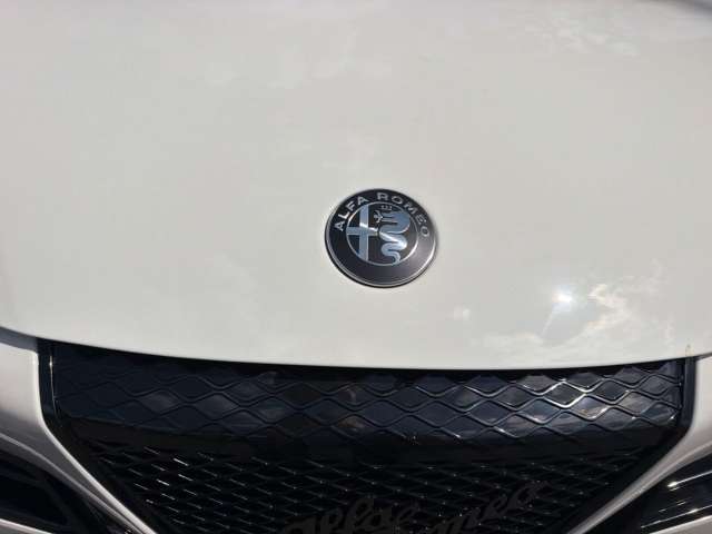 Fahrzeugbild eines Alfa Romeo Junior