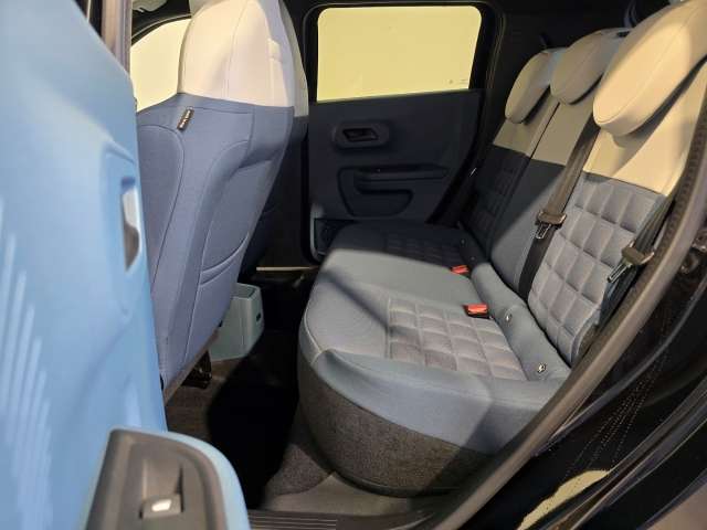 Fahrzeugbild eines Fiat Grande Panda