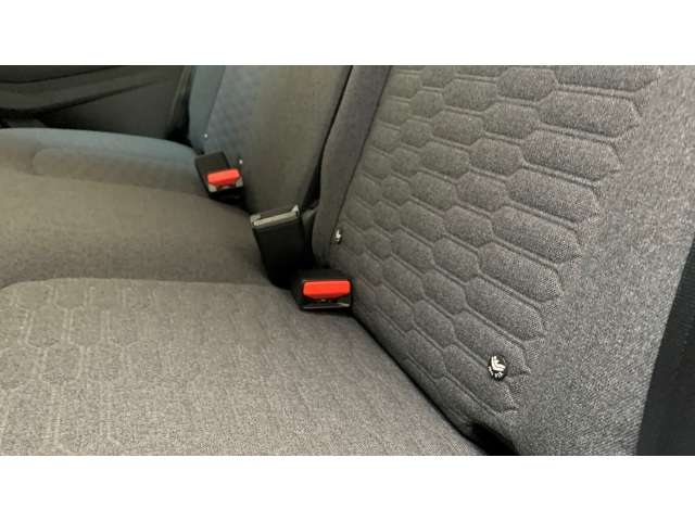 Fahrzeugbild eines Renault ZOE