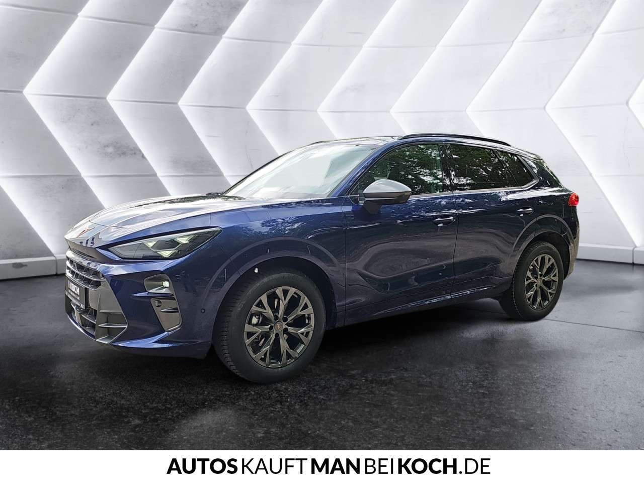 Fahrzeugbild eines CUPRA Terramar