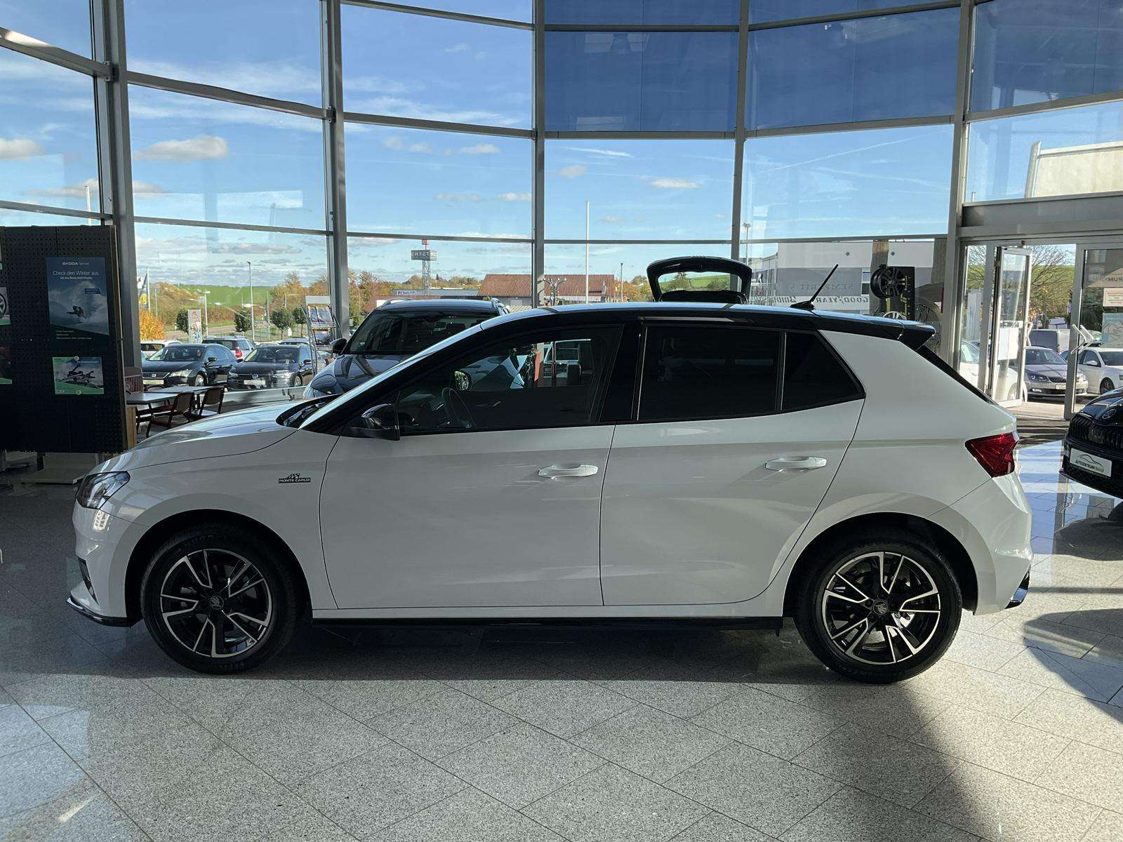 Fahrzeugbild eines Skoda Fabia