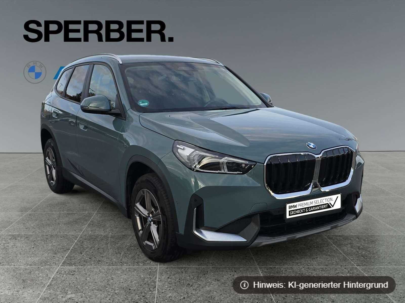 Fahrzeugbild eines BMW X1