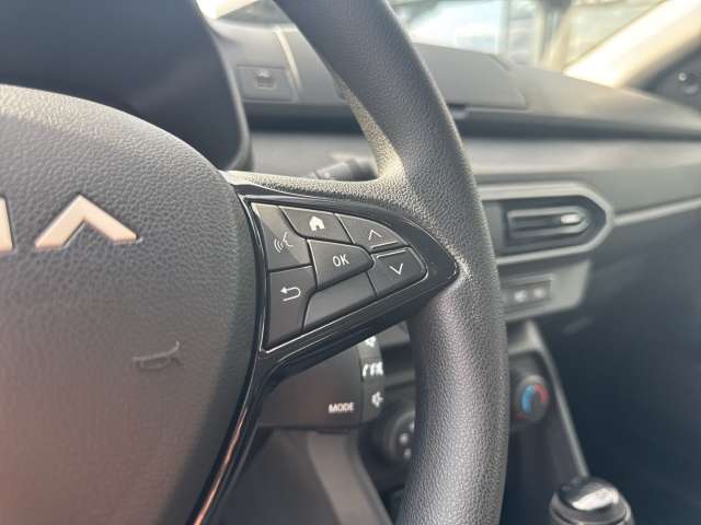 Fahrzeugbild eines Dacia Jogger