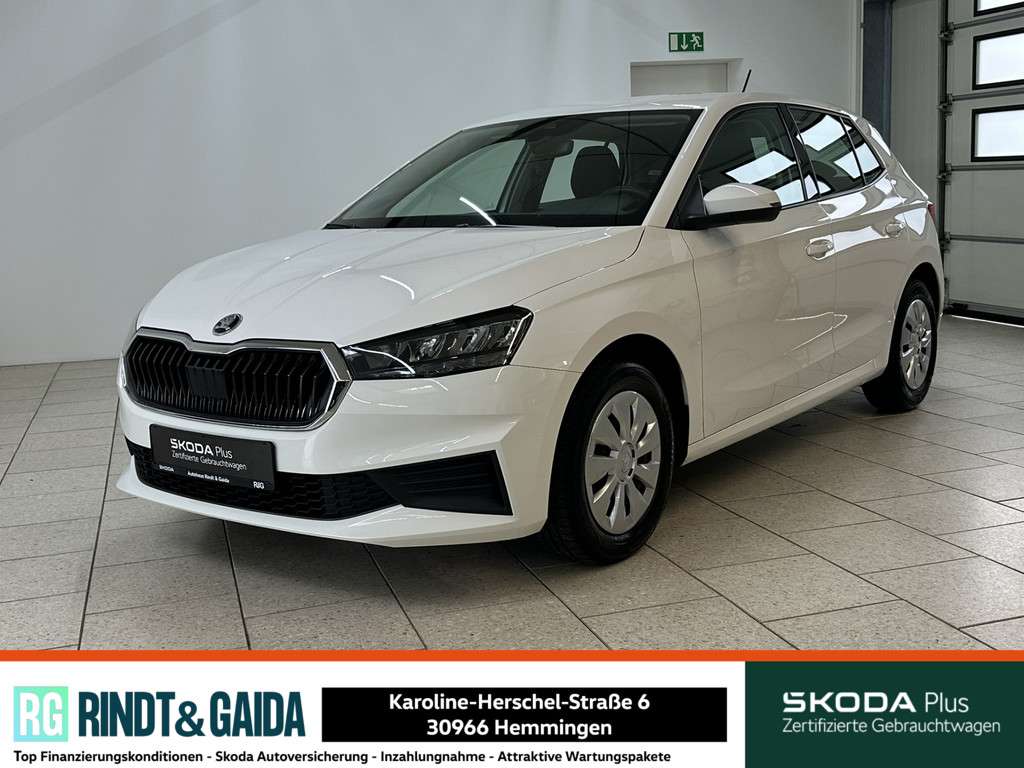 Fahrzeugbild eines Skoda Fabia