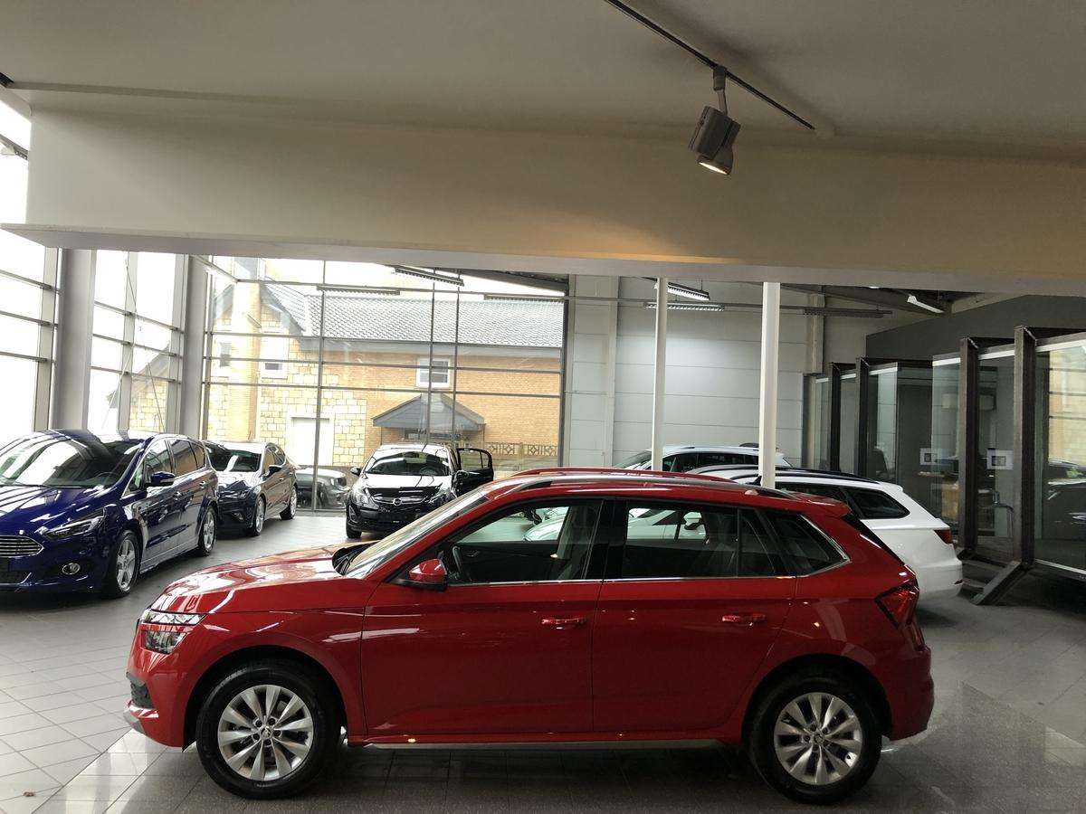 Fahrzeugbild eines Skoda Kamiq