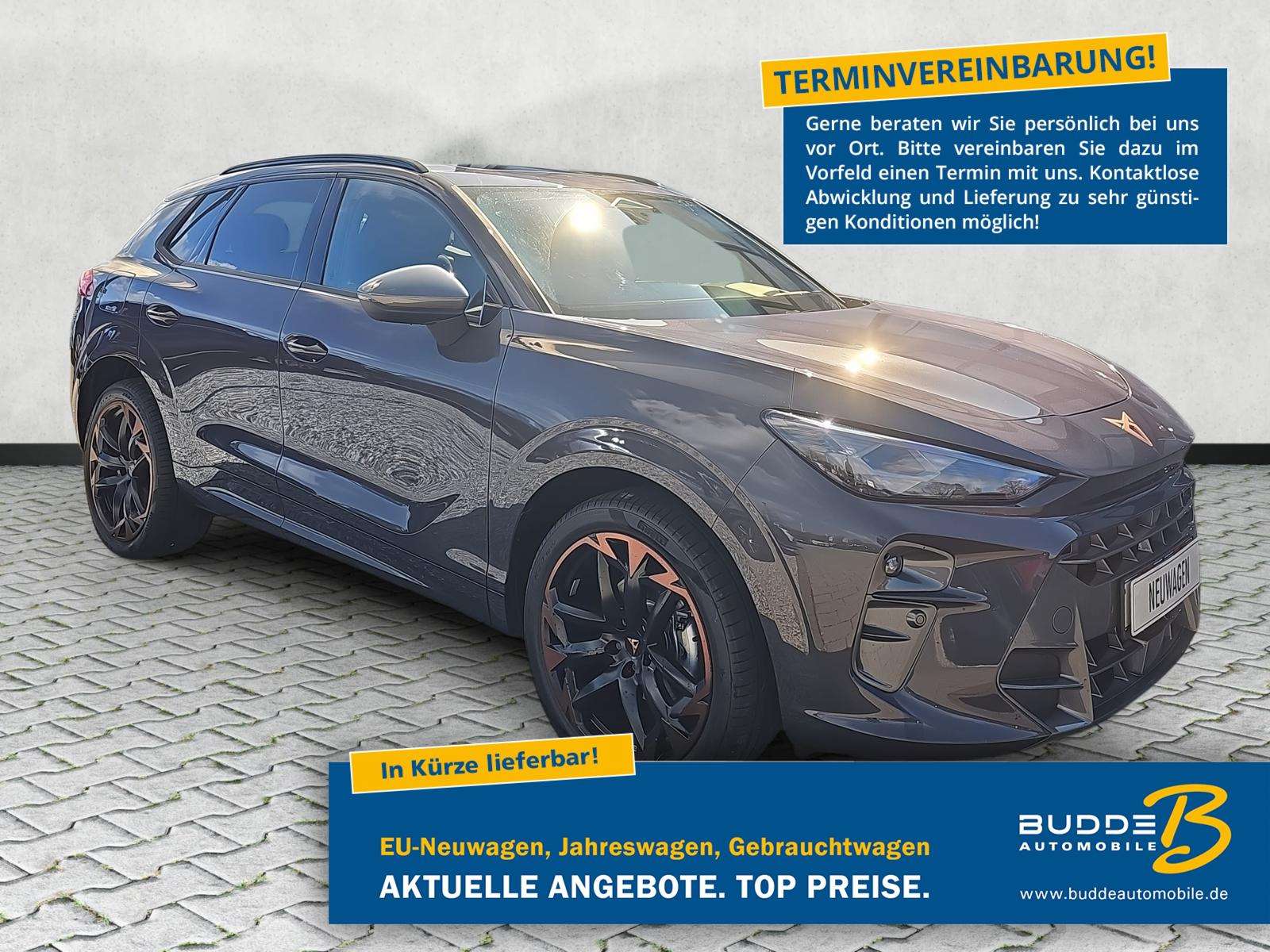 Fahrzeugbild eines CUPRA Terramar
