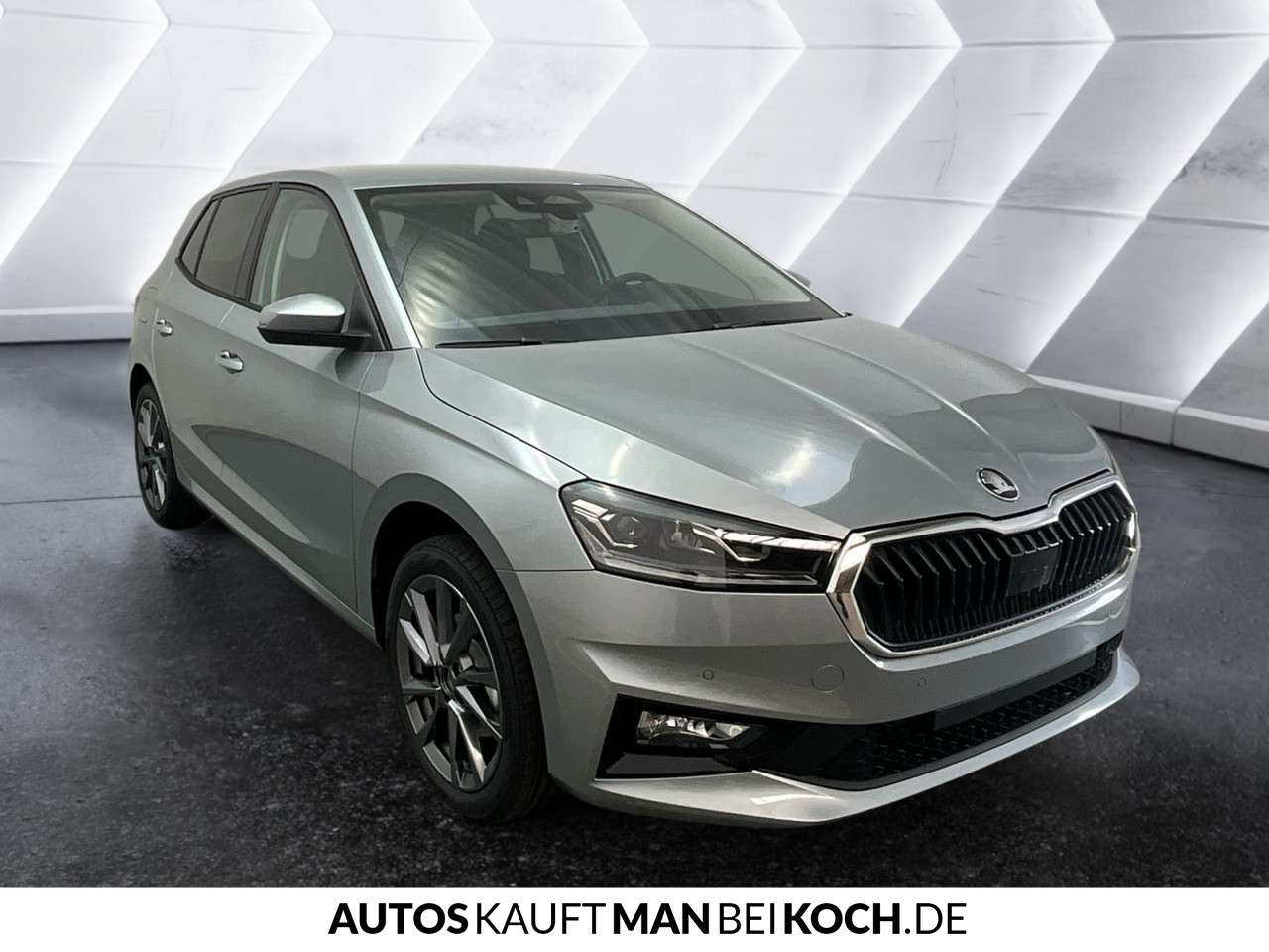 Fahrzeugbild eines Skoda Fabia