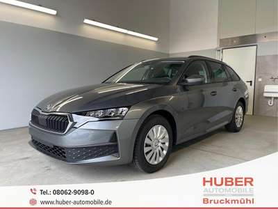 Bild Skoda Octavia
