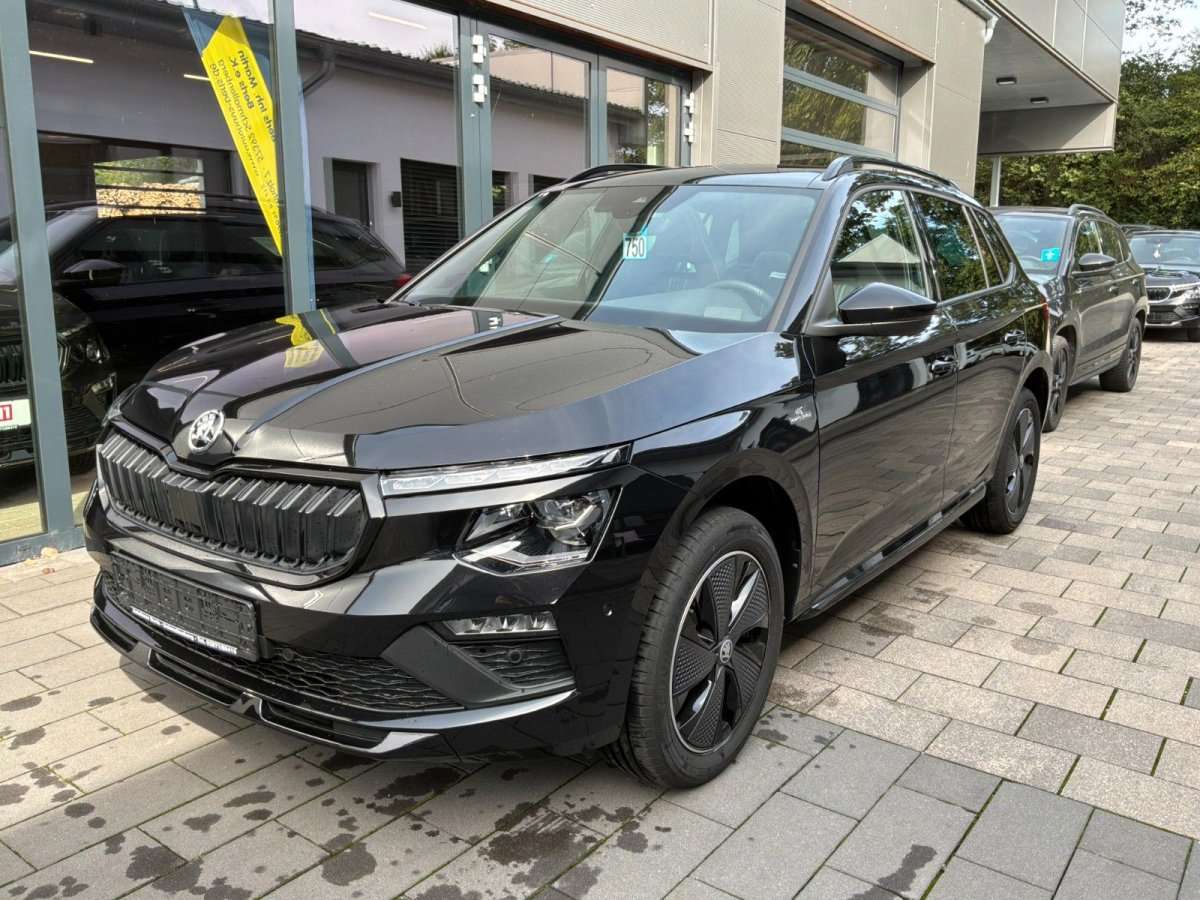Fahrzeugbild eines Skoda Kamiq