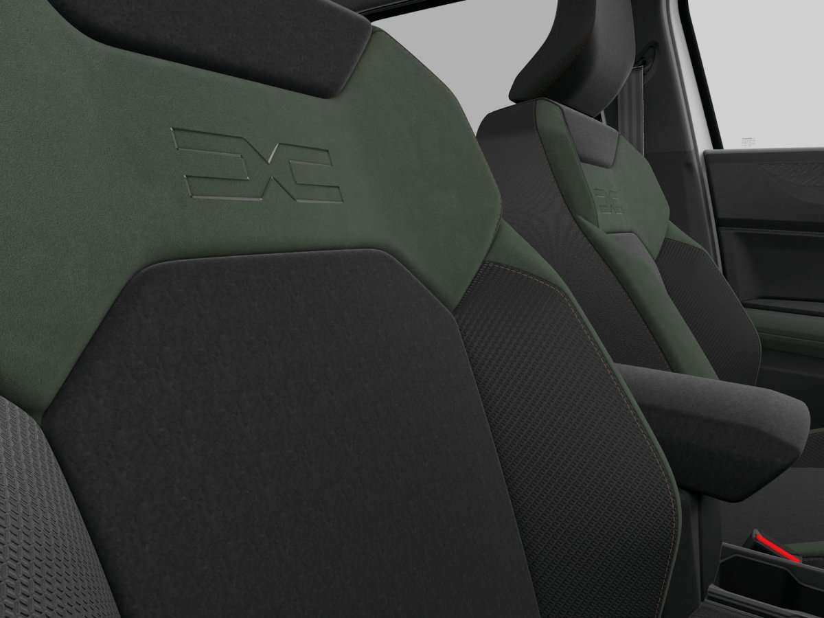 Fahrzeugbild eines Dacia Bigster