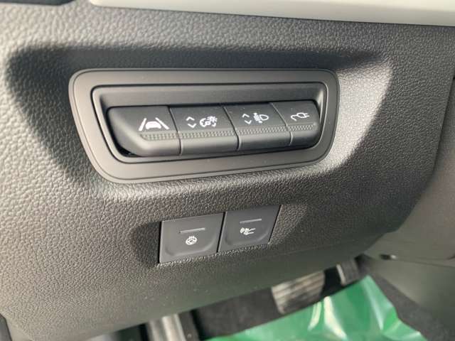Fahrzeugbild eines Renault ZOE
