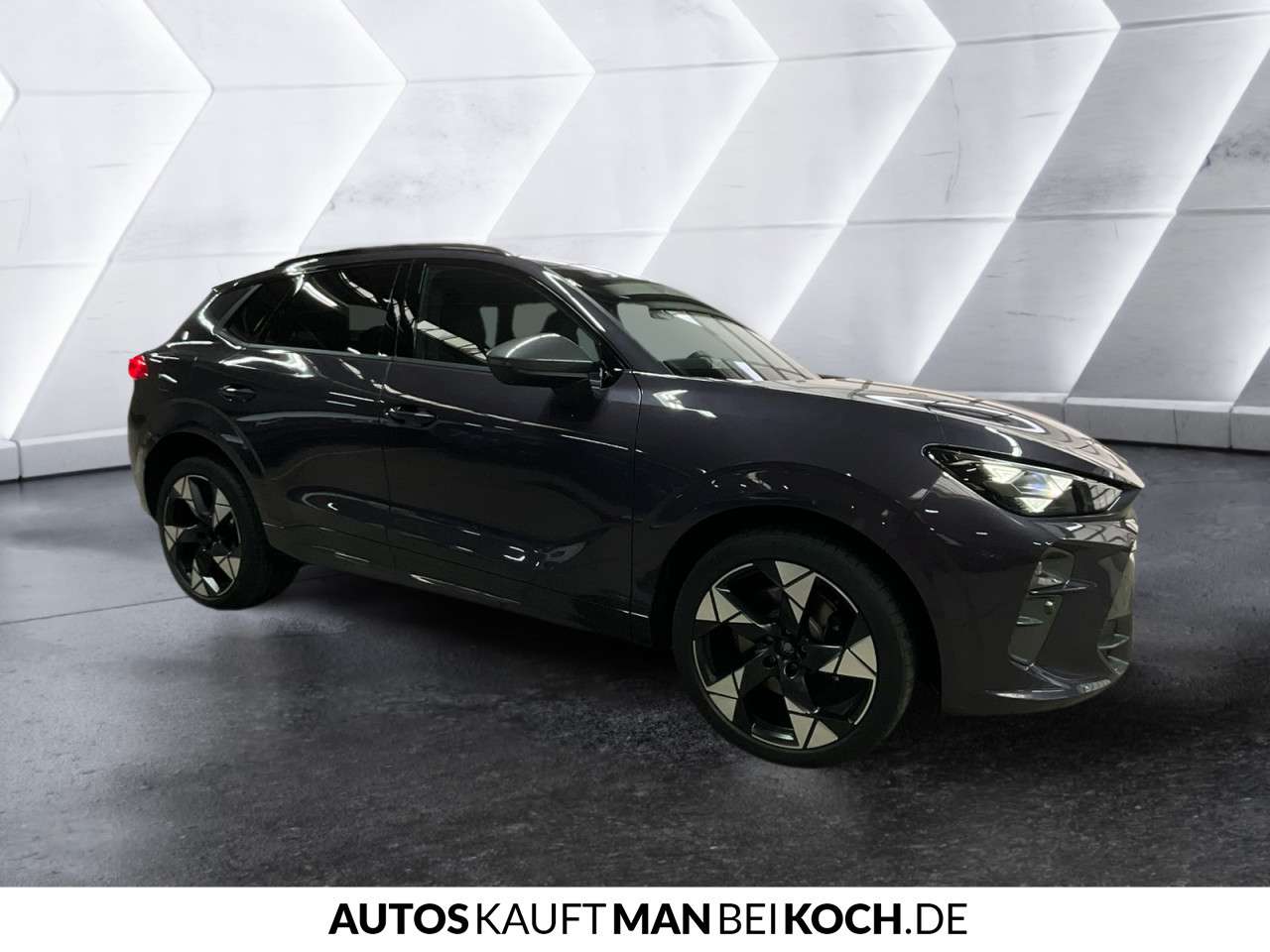 Fahrzeugbild eines CUPRA Terramar