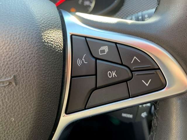 Fahrzeugbild eines Dacia Jogger