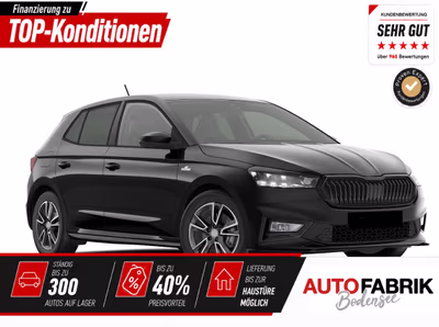 Bild Skoda Fabia