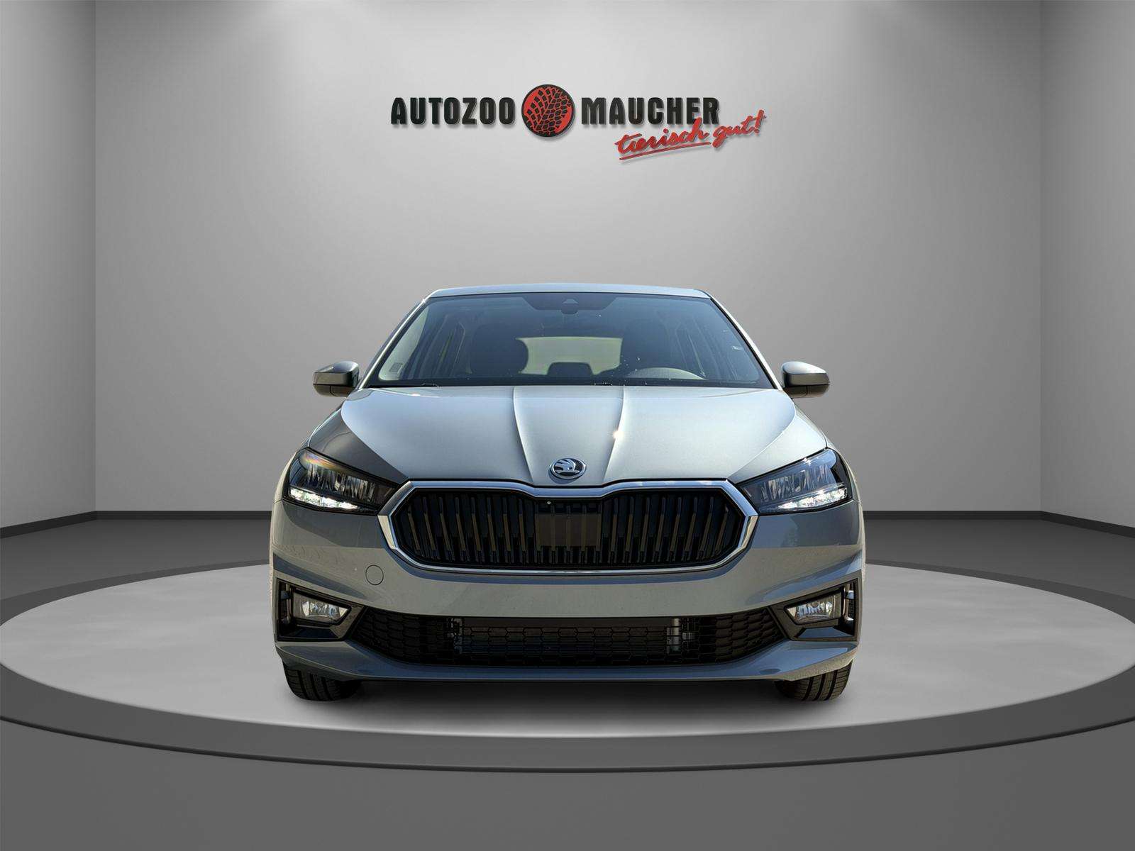 Fahrzeugbild eines Skoda Fabia