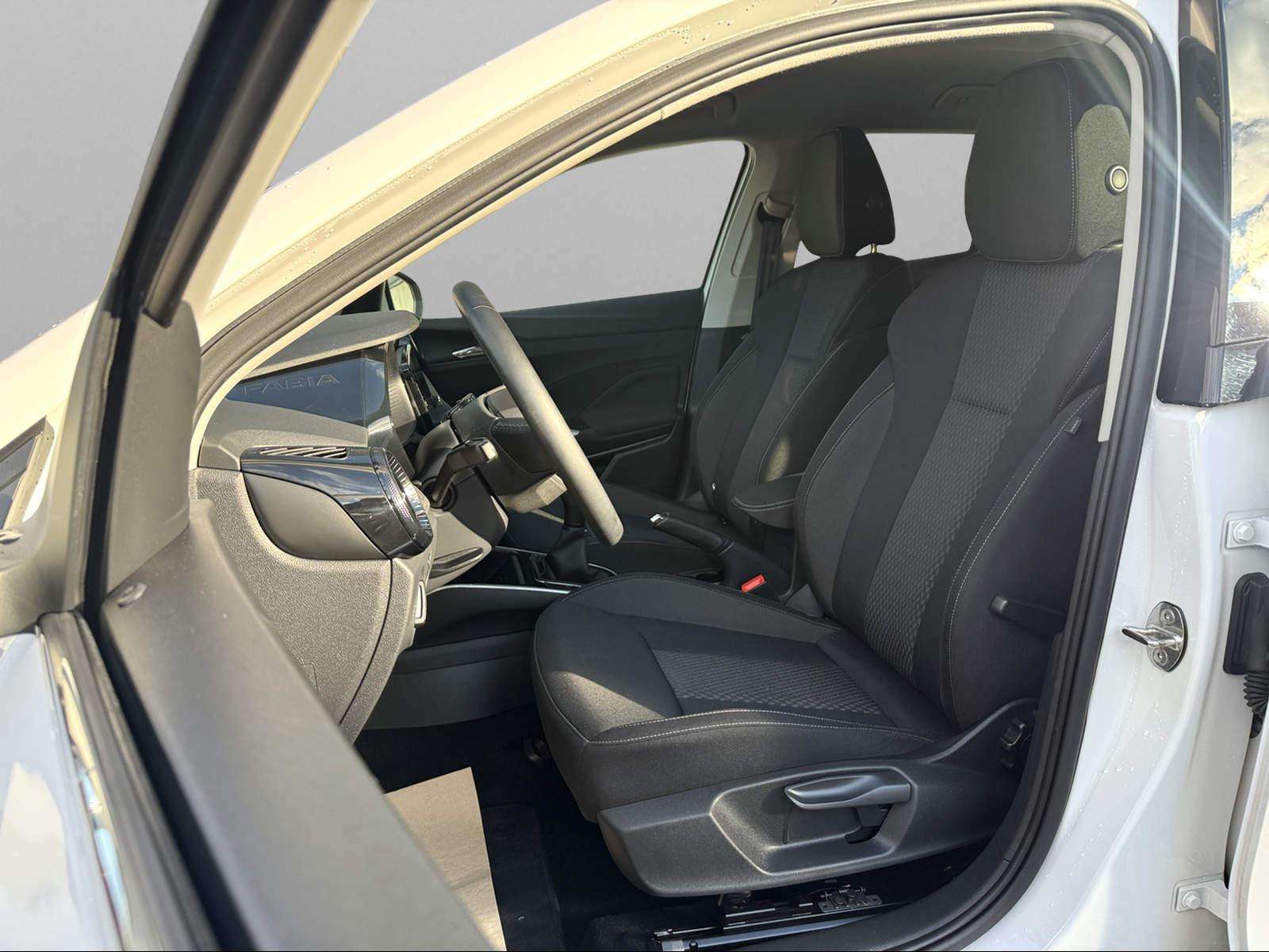 Fahrzeugbild eines Skoda Fabia