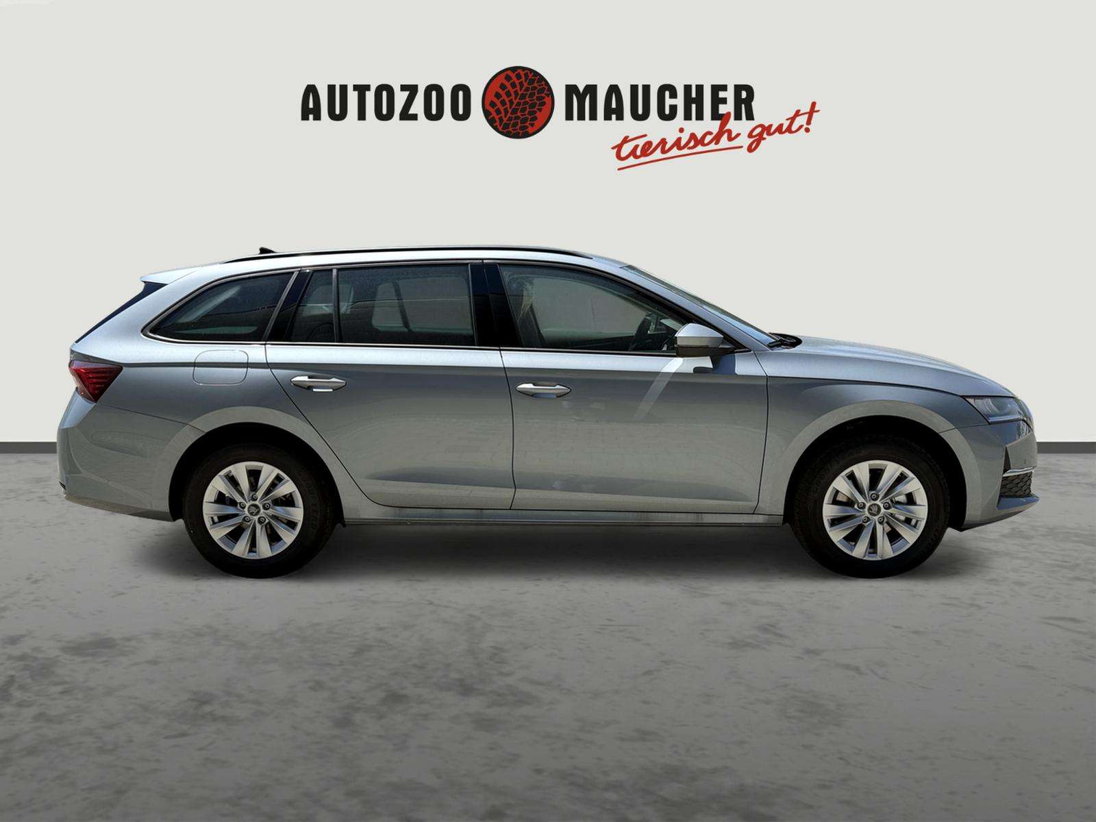 Fahrzeugbild eines Skoda Octavia