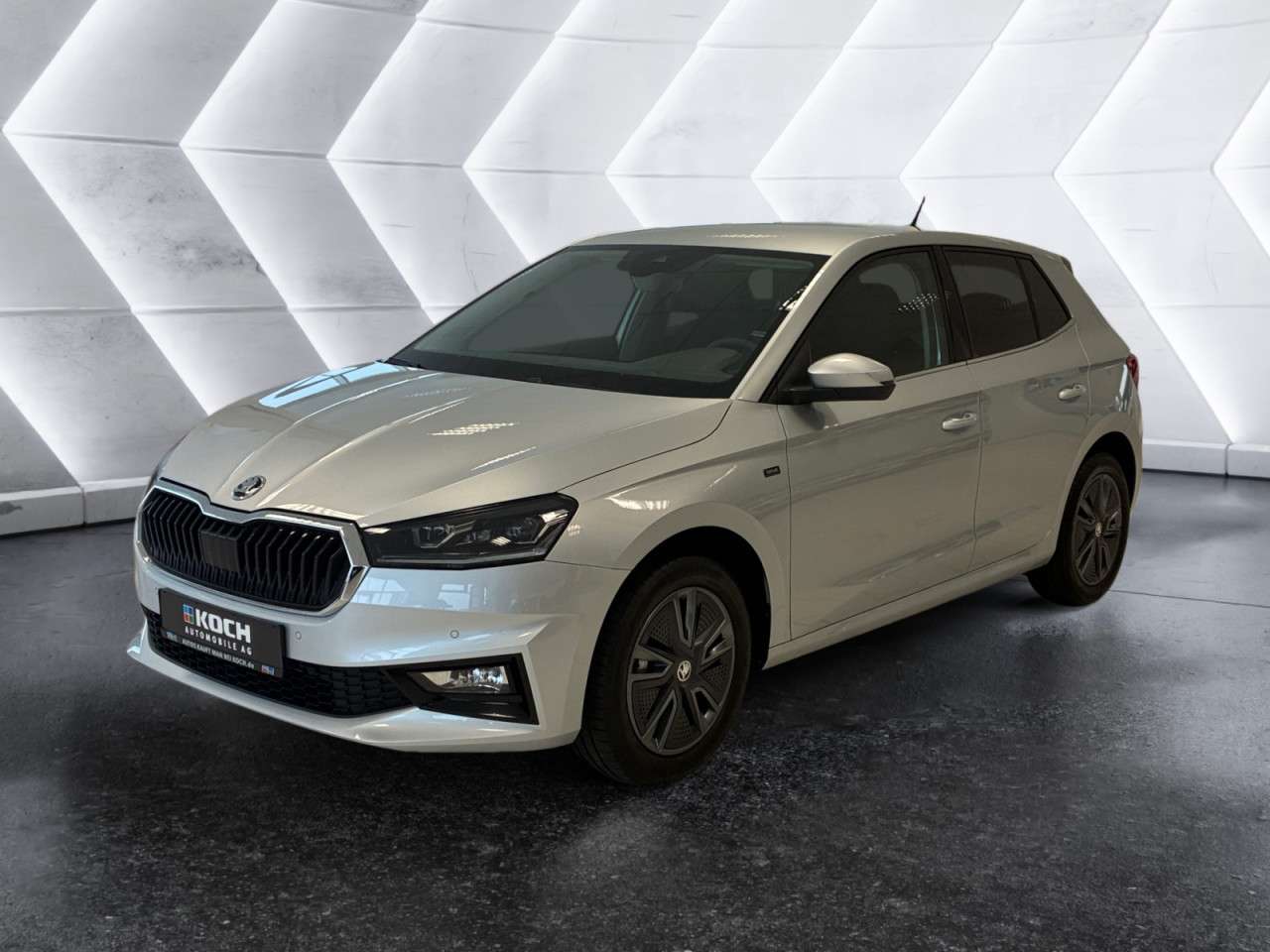 Fahrzeugbild eines Skoda Fabia