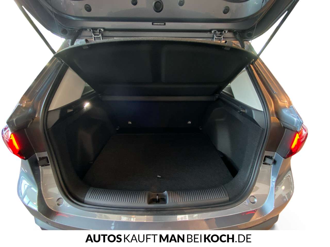 Fahrzeugbild eines MG ZS
