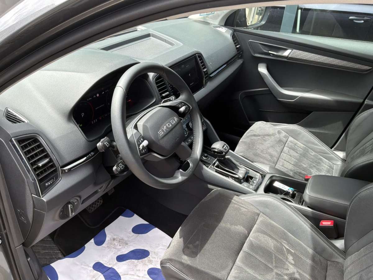 Fahrzeugbild eines Skoda Karoq
