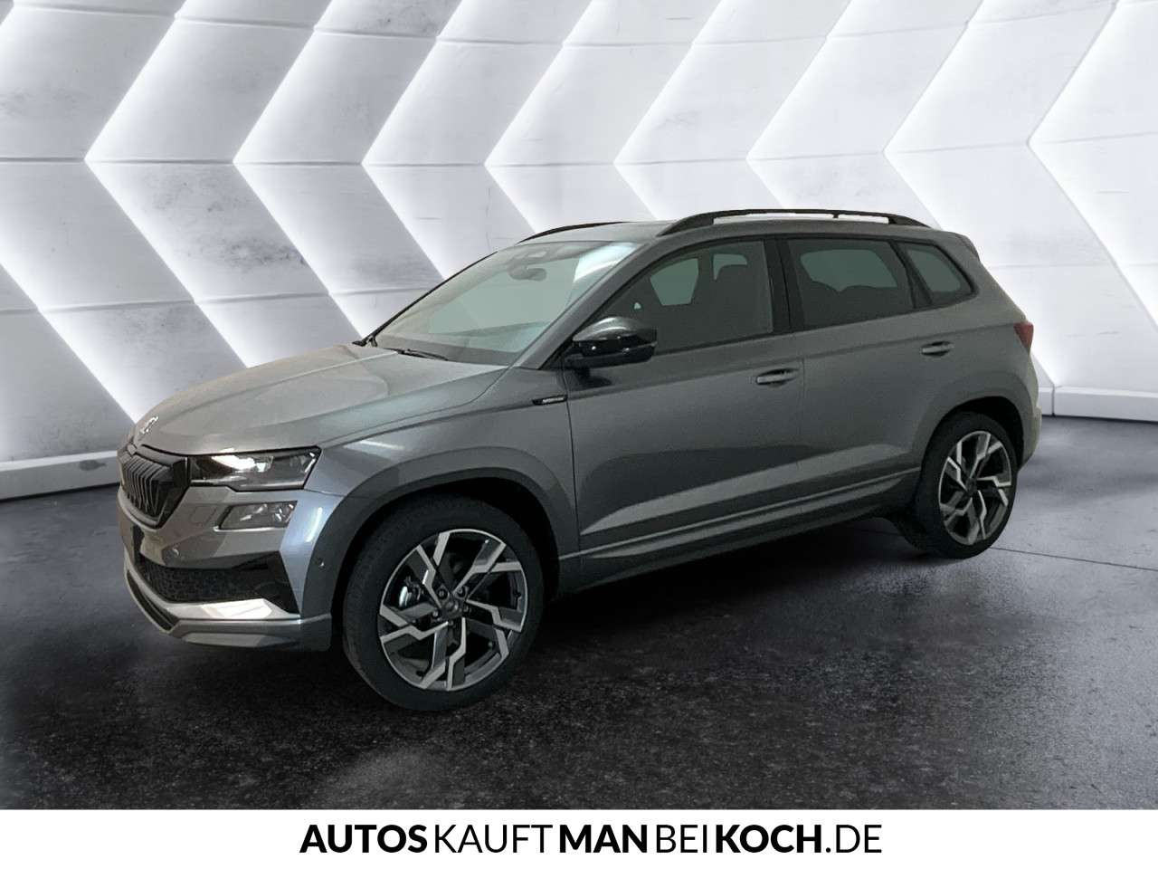Fahrzeugbild eines Skoda Karoq