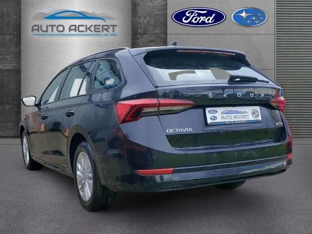Fahrzeugbild eines Skoda Octavia